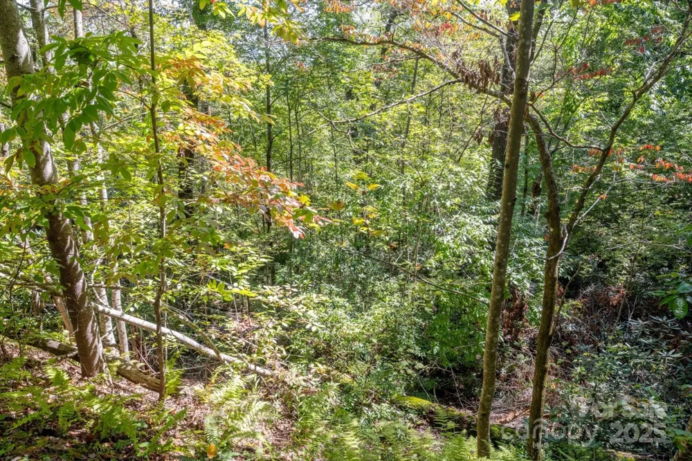 TBD Pine Mountain Trail #M79 Brevard, NC 28712