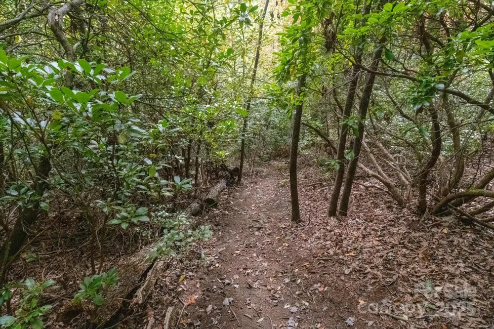 TBD Pine Mountain Trail #M79 Brevard, NC 28712