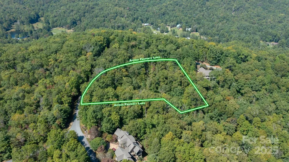 TBD Pine Mountain Trail #M79 Brevard, NC 28712