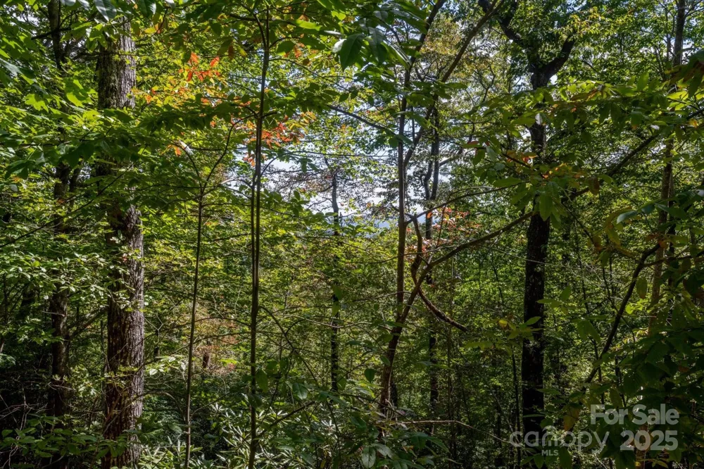 TBD Pine Mountain Trail #M79 Brevard, NC 28712