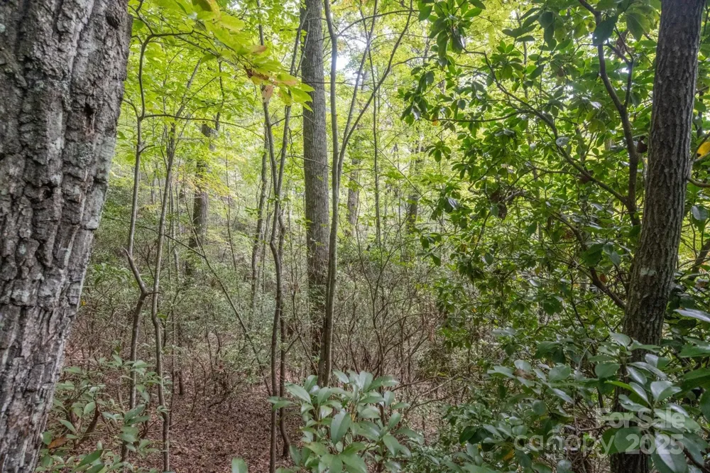 TBD Pine Mountain Trail #M79 Brevard, NC 28712