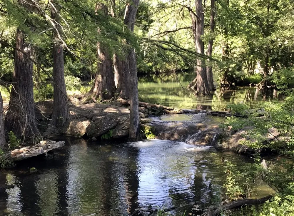 165 Fore Drive Spring Branch, TX 78070