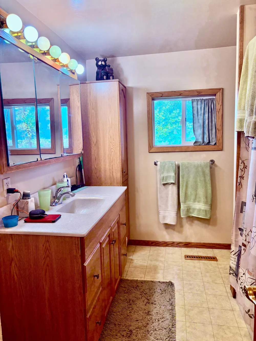 1401 State Highway 11 SW Baudette, MN 56623