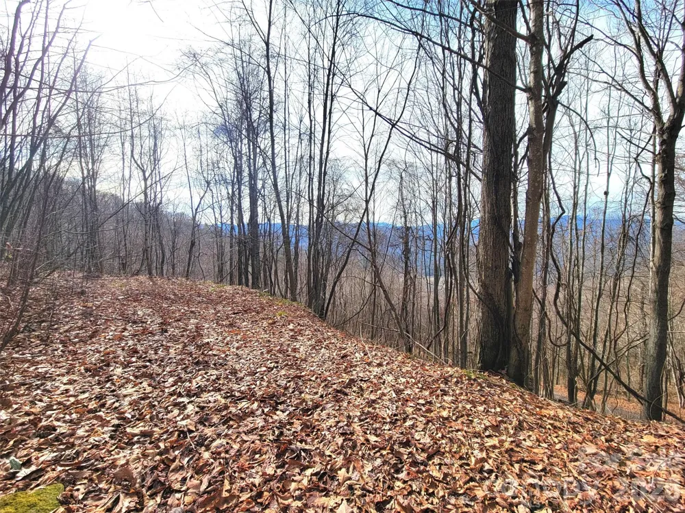 75 Rimrock Ridge #I Clyde, NC 28721