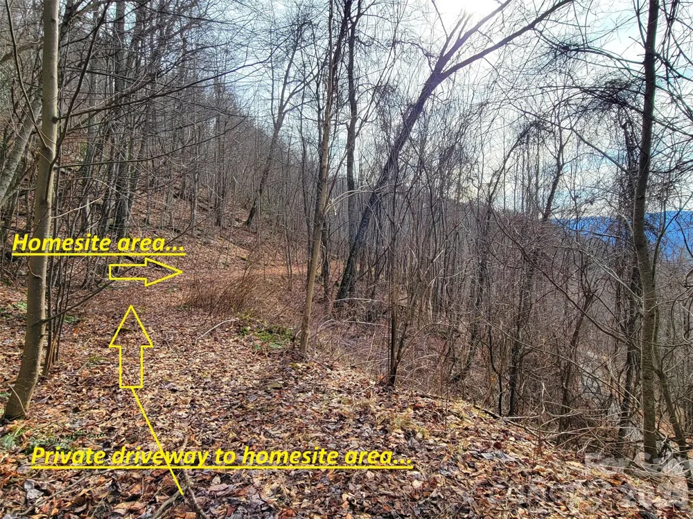 75 Rimrock Ridge #I Clyde, NC 28721