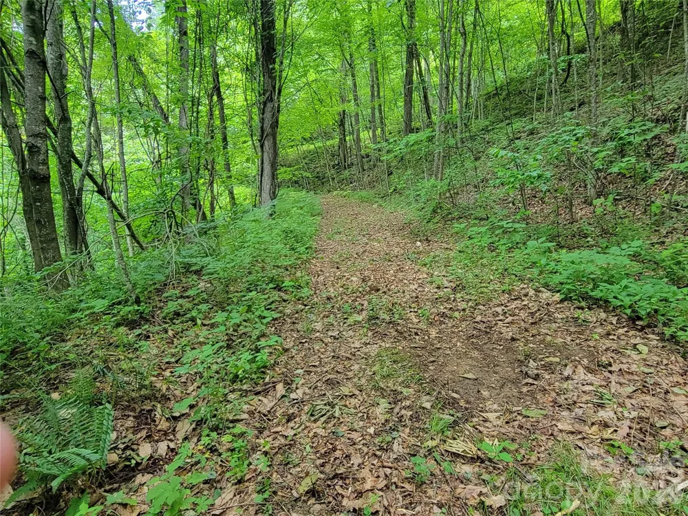 75 Rimrock Ridge #I Clyde, NC 28721