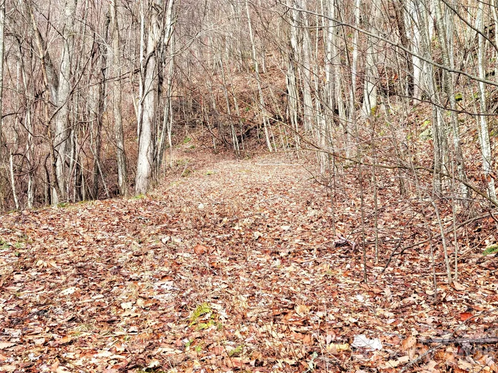 75 Rimrock Ridge #I Clyde, NC 28721