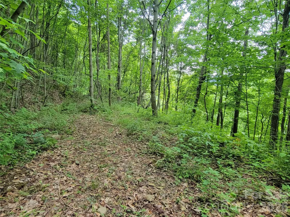 75 Rimrock Ridge #I Clyde, NC 28721