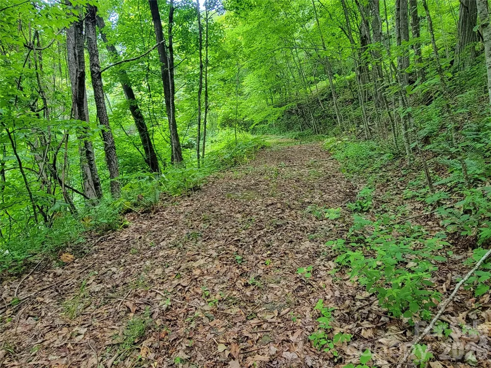75 Rimrock Ridge #I Clyde, NC 28721