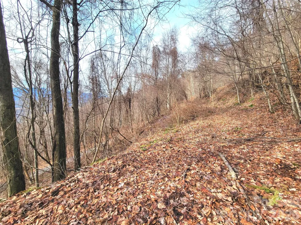75 Rimrock Ridge #I Clyde, NC 28721