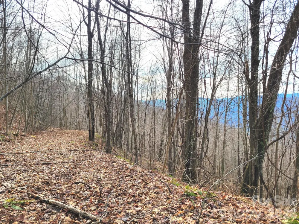 75 Rimrock Ridge #I Clyde, NC 28721