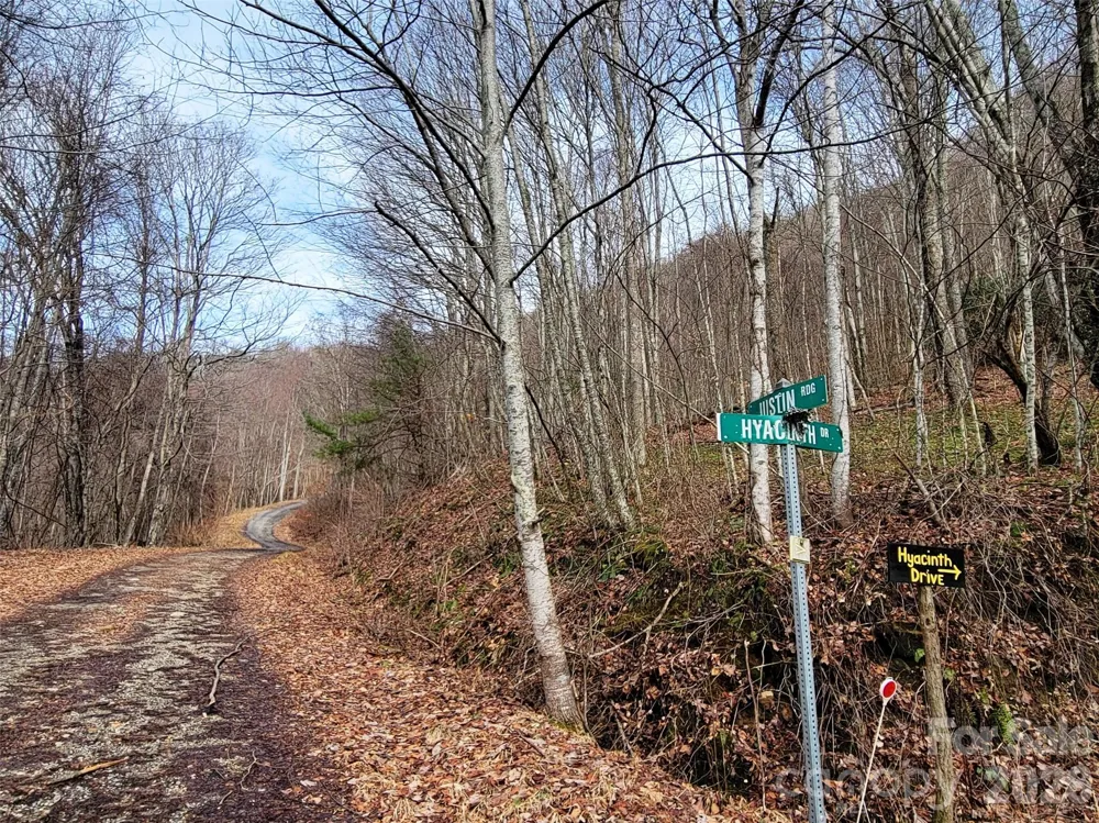 75 Rimrock Ridge #I Clyde, NC 28721