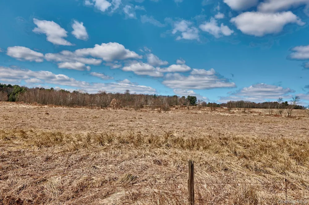 Lot 17.9 Shortcut Road Cochecton, NY 12726