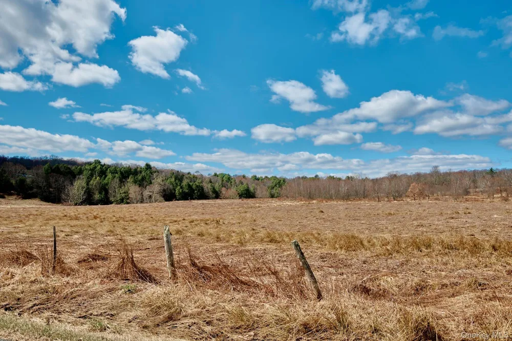 Lot 17.9 Shortcut Road Cochecton, NY 12726