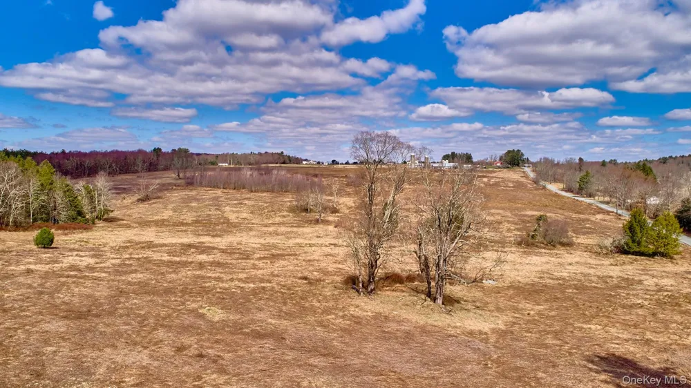 Lot 17.9 Shortcut Road Cochecton, NY 12726