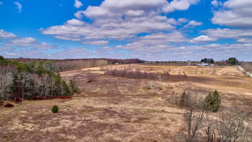 Lot 17.9 Shortcut Road Cochecton, NY 12726