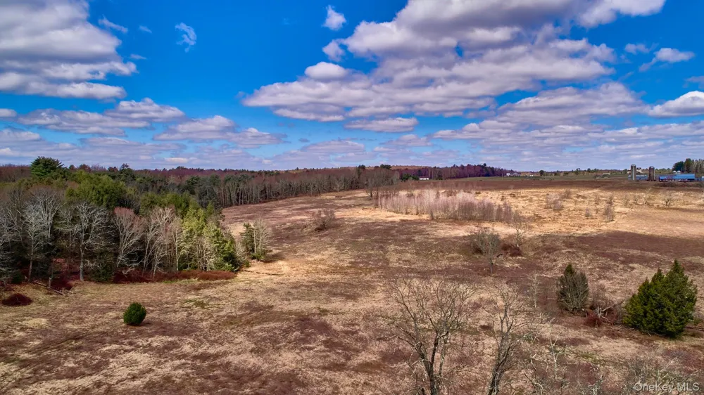 Lot 17.9 Shortcut Road Cochecton, NY 12726