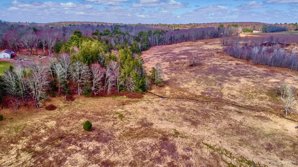Lot 17.9 Shortcut Road Cochecton, NY 12726