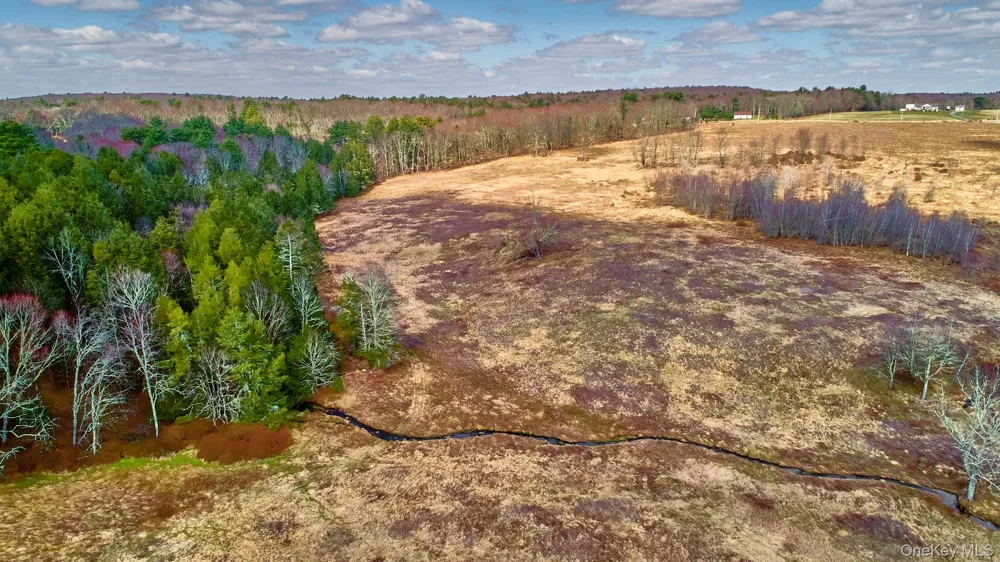 Lot 17.9 Shortcut Road Cochecton, NY 12726