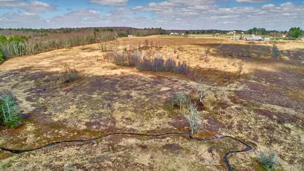 Lot 17.9 Shortcut Road Cochecton, NY 12726