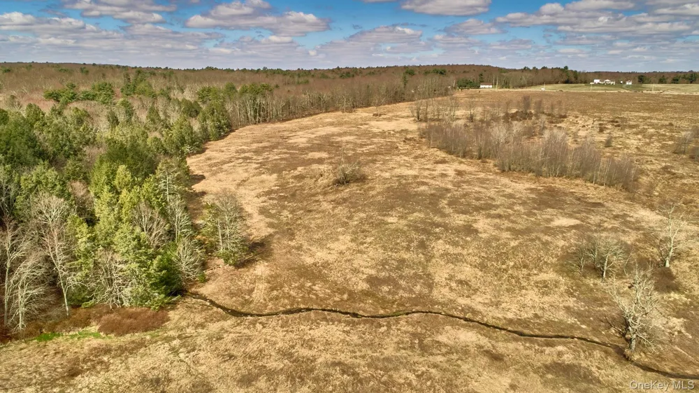 Lot 17.9 Shortcut Road Cochecton, NY 12726