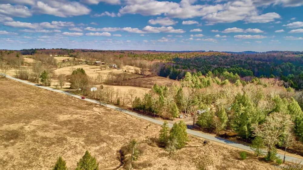 Lot 17.9 Shortcut Road Cochecton, NY 12726
