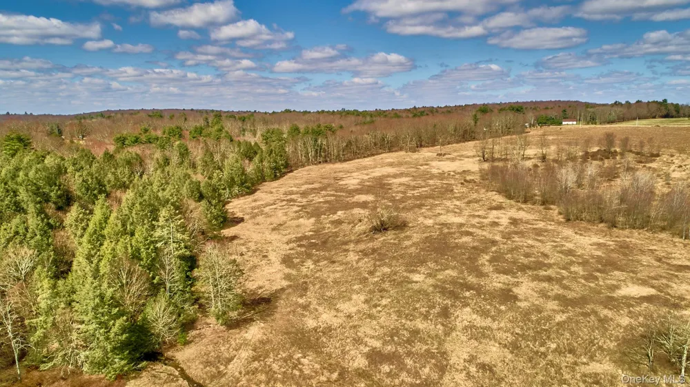 Lot 17.9 Shortcut Road Cochecton, NY 12726