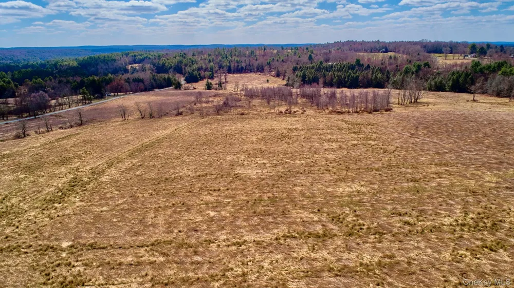 Lot 17.9 Shortcut Road Cochecton, NY 12726