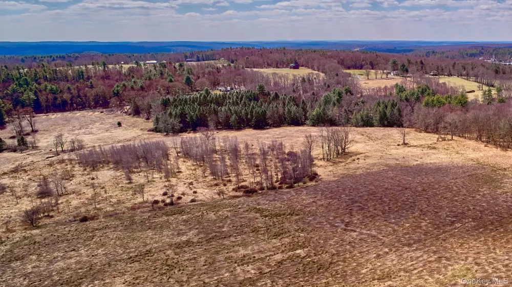 Lot 17.9 Shortcut Road Cochecton, NY 12726