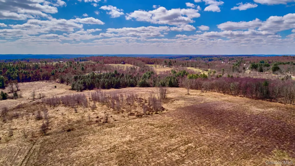 Lot 17.9 Shortcut Road Cochecton, NY 12726