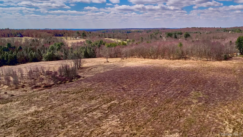 Lot 17.9 Shortcut Road Cochecton, NY 12726