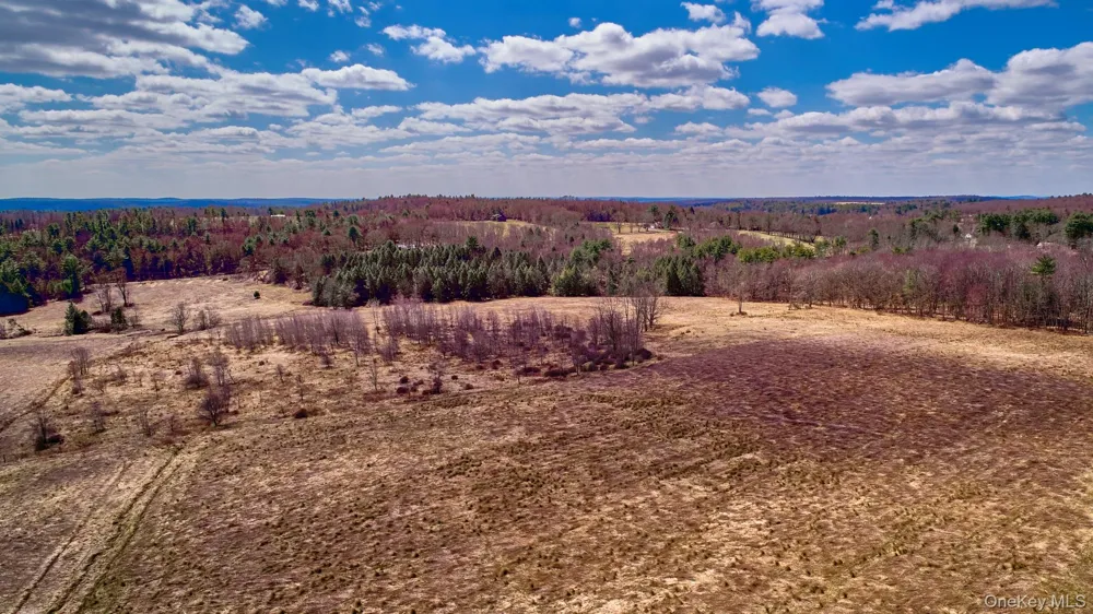 Lot 17.9 Shortcut Road Cochecton, NY 12726