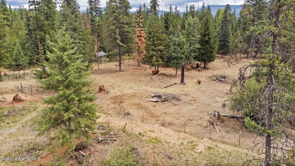 NNA Tanglewood Drive Priest River, ID 83856