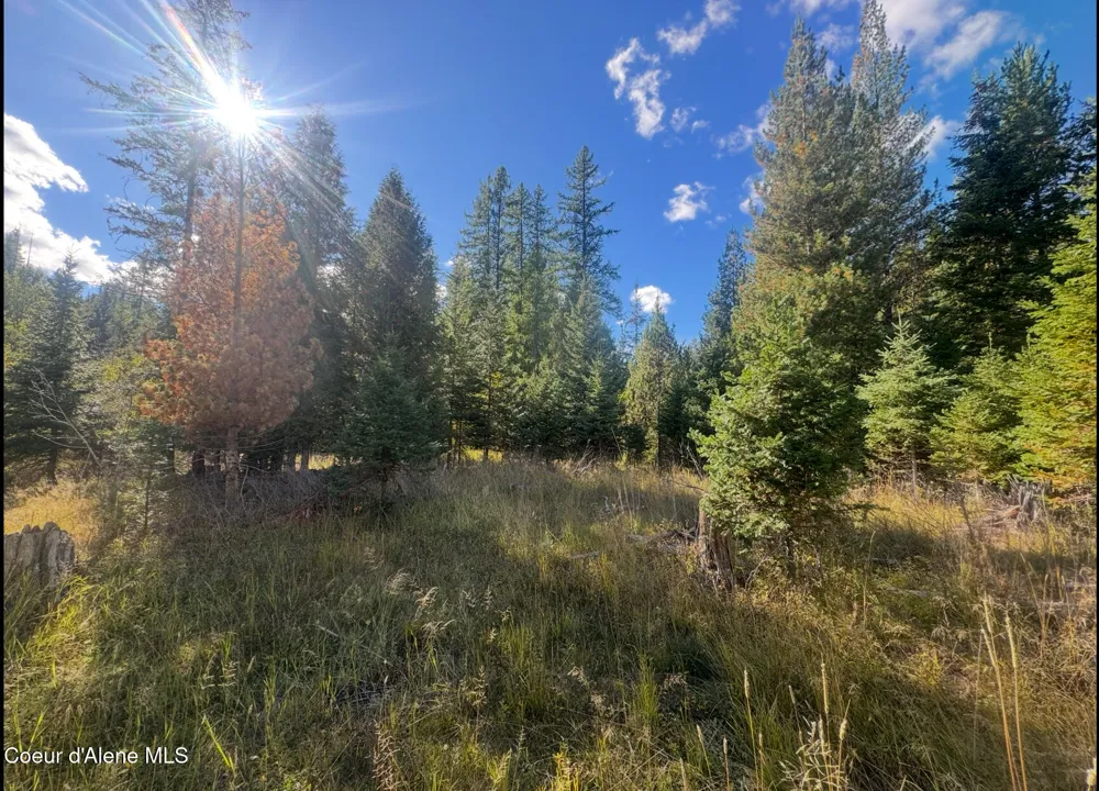 NNA Tanglewood Drive Priest River, ID 83856