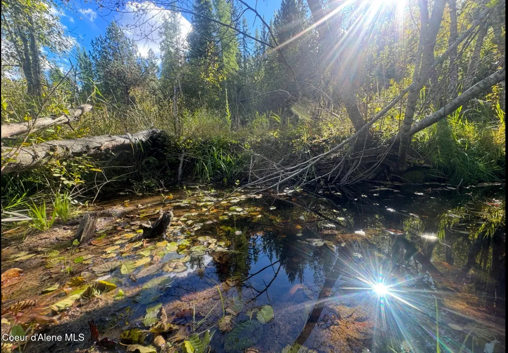 NNA Tanglewood Drive Priest River, ID 83856