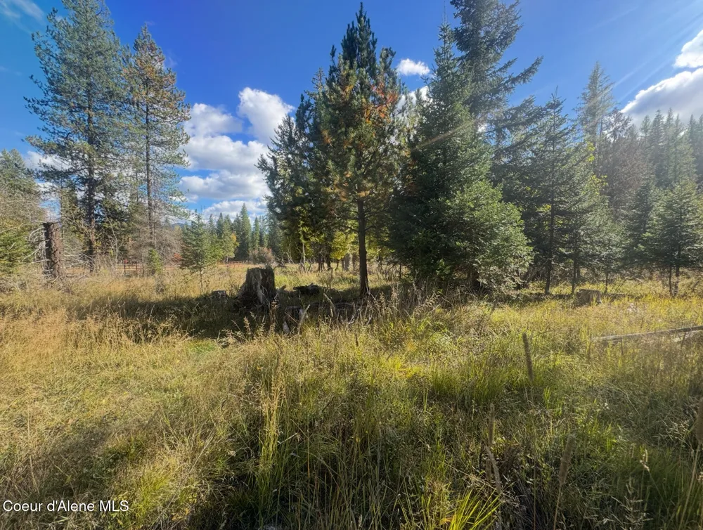NNA Tanglewood Drive Priest River, ID 83856
