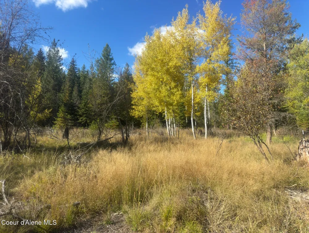 NNA Tanglewood Drive Priest River, ID 83856