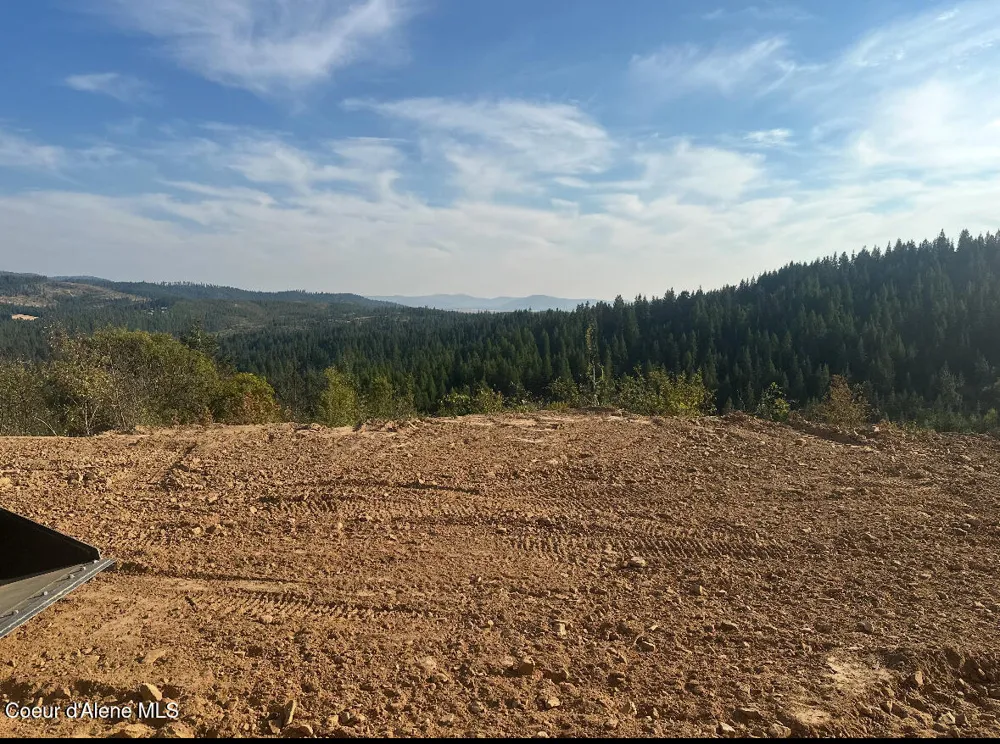 NKA TreeTop Lane Parcel 2 Plummer, ID 83851