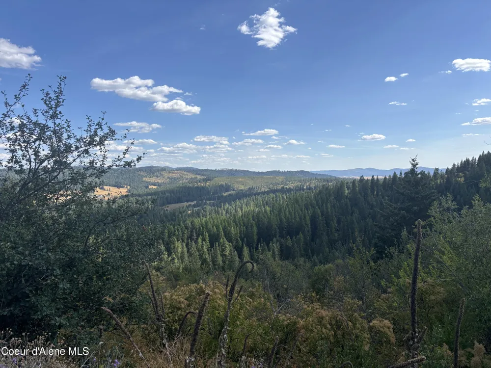 NKA TreeTop Lane Parcel 2 Plummer, ID 83851