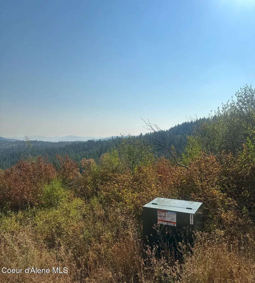 NKA TreeTop Lane Parcel 2 Plummer, ID 83851