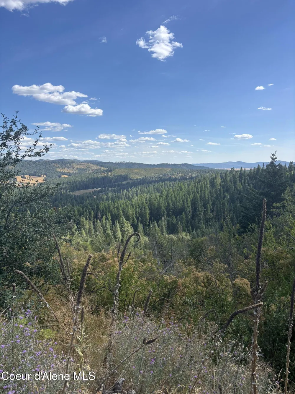 NKA TreeTop Lane Parcel 2 Plummer, ID 83851
