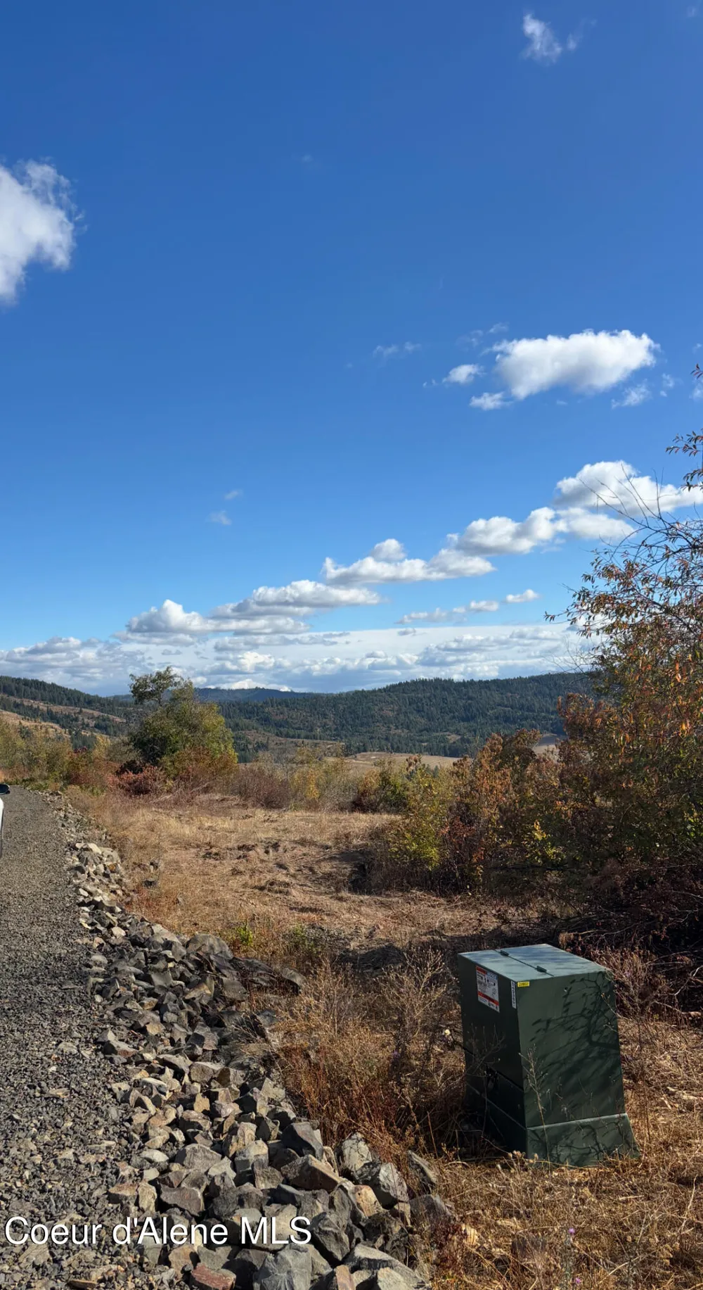 NKA TreeTop Lane Parcel 2 Plummer, ID 83851