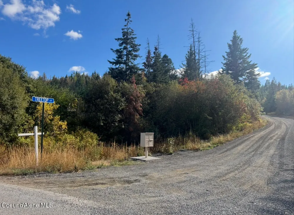 NKA TreeTop Lane Parcel 2 Plummer, ID 83851