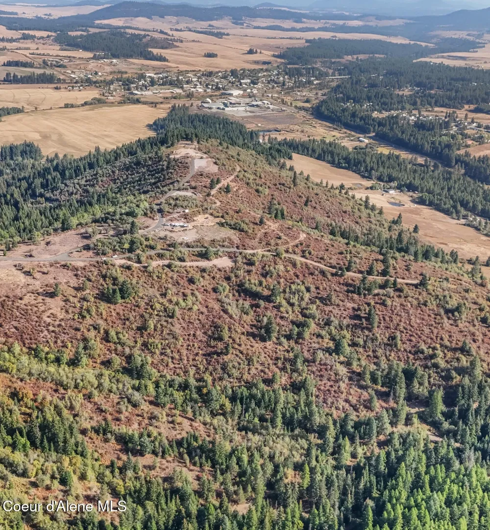 NKA TreeTop Lane Parcel 2 Plummer, ID 83851