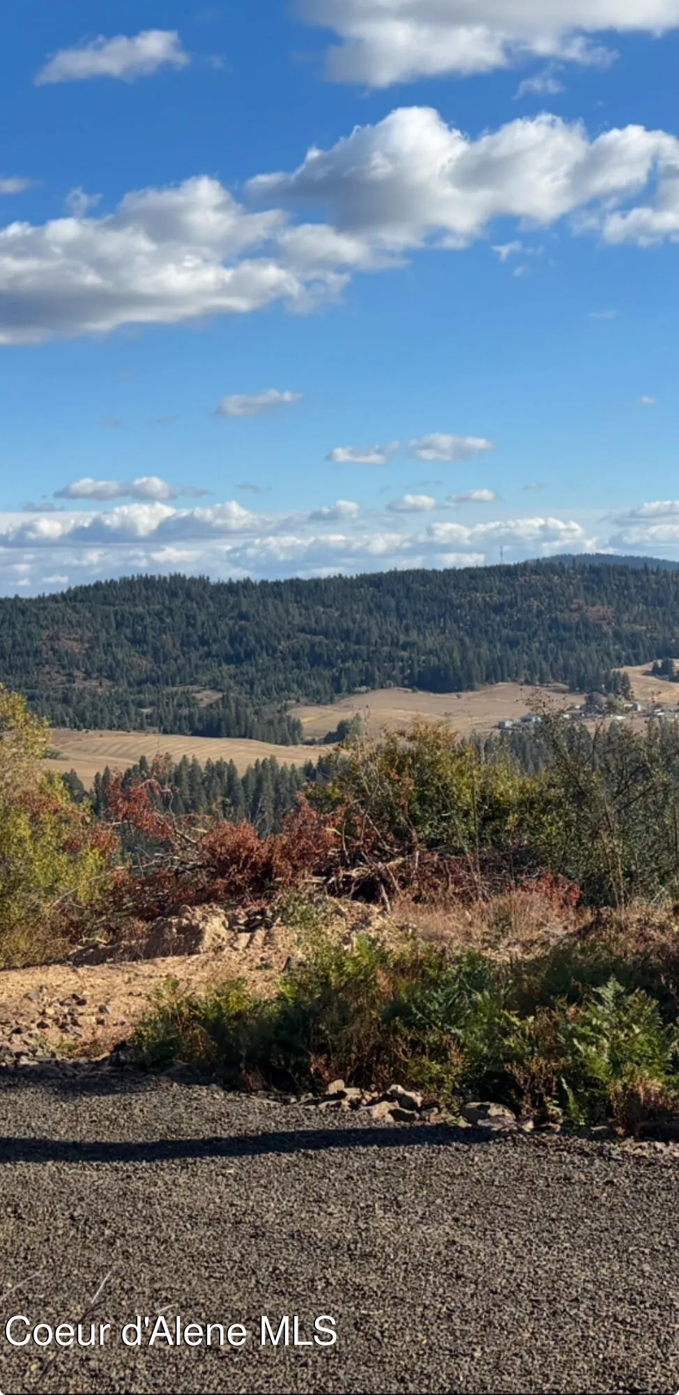 NKA TreeTop Lane Parcel 2 Plummer, ID 83851