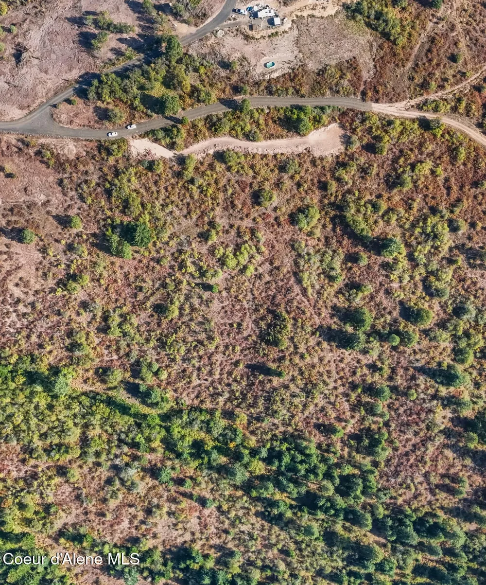 NKA TreeTop Lane Parcel 2 Plummer, ID 83851