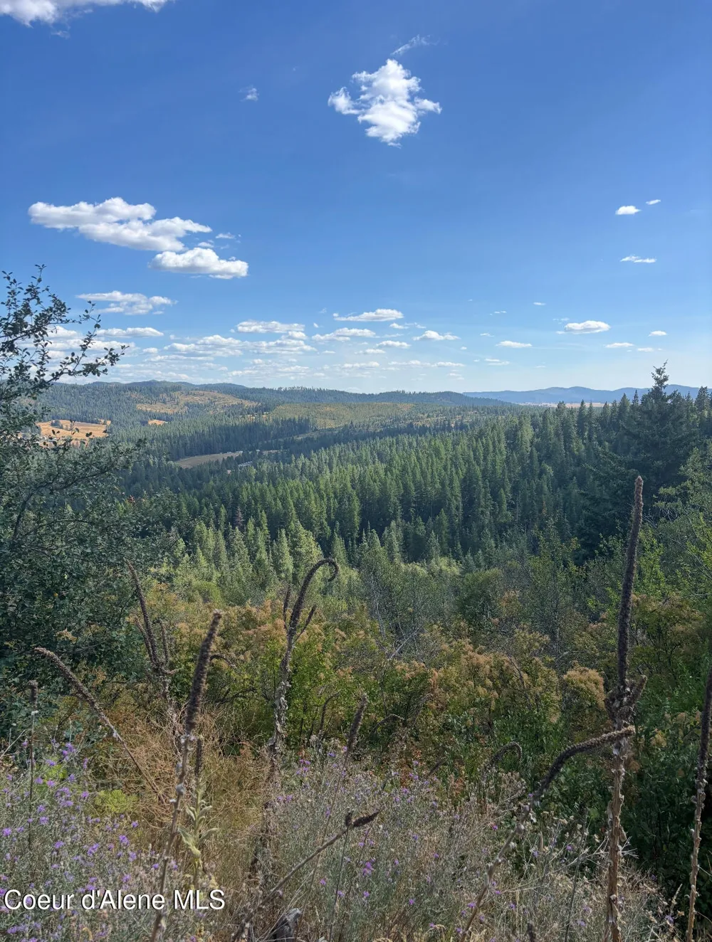 NKA TreeTop Lane Parcel 2 Plummer, ID 83851