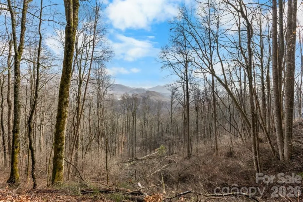TBD Happy Ridge Lane Sylva, NC 28779