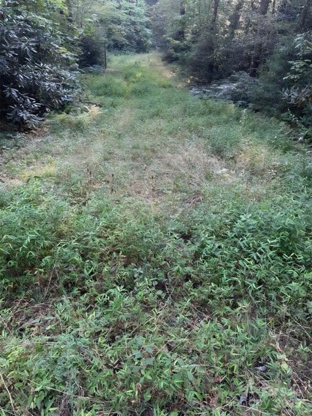 00 Beaumont Drive Cedar Mountain, NC 28718