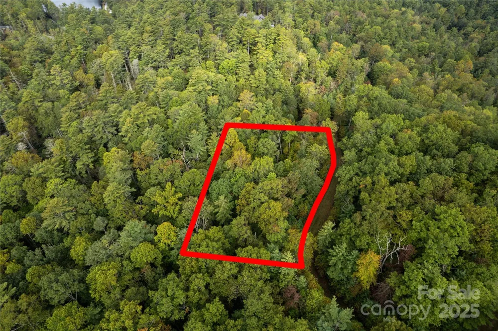 00 Beaumont Drive Cedar Mountain, NC 28718